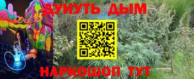 дживик Сланцы