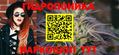 дживик Сланцы