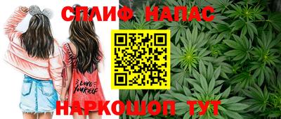 дживик Сланцы