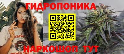 МДПВ Славгород