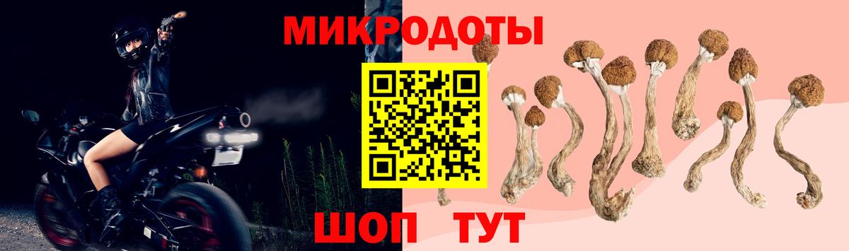 Галлюциногенные грибы ЛСД  купить наркотики цена  Вход с VPN  Новозыбков  Псилоцибиновые грибы прущие грибы 